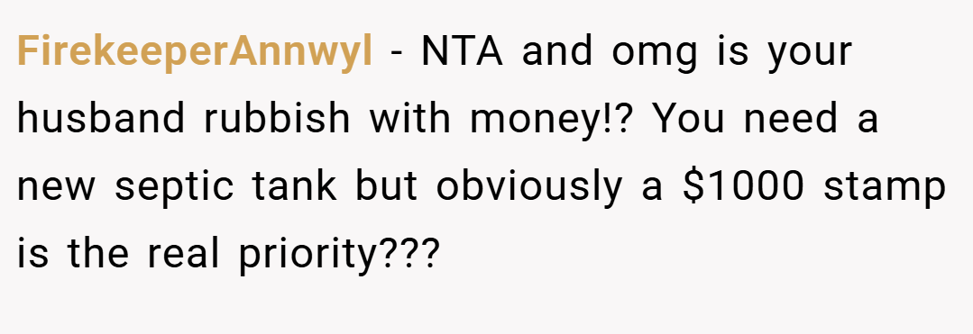 FirekeeperAnnwyl − NTA and omg is your husband rubbish with money!? You need a new septic tank but obviously a $1000 stamp is the real priority???