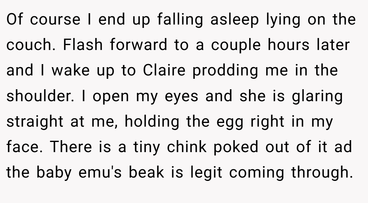 Of course I end up falling asleep lying on the couch. Flash forward to a couple hours later and I wake up to Claire prodding me in the shoulder. I open my eyes and she is glaring straight at me, holding the egg right in my face. There is a tiny chink poked out of it ad the baby emu's beak is legit coming through.