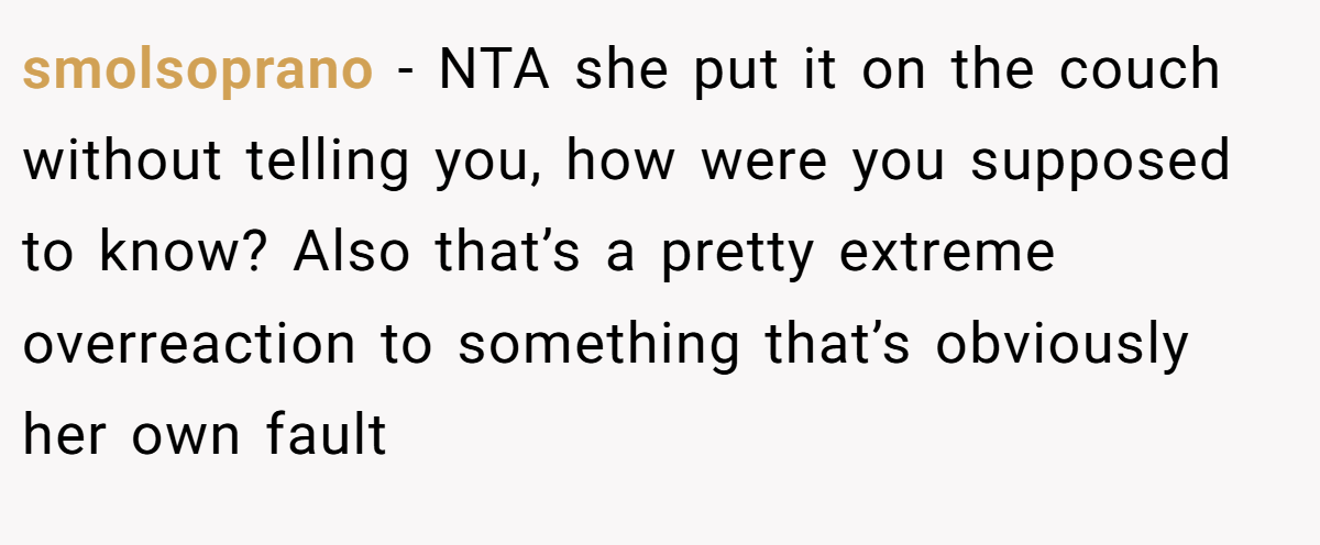 smolsoprano - NTA she put it on the couch without telling you, how were you supposed to know? Also that’s a pretty extreme overreaction to something that’s obviously her own fault