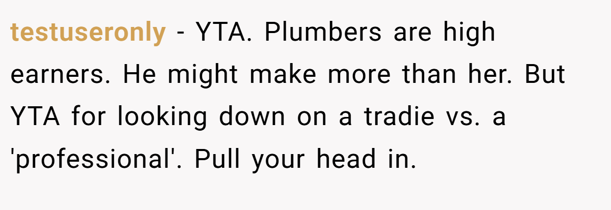 testuseronly − YTA. Plumbers are high earners. He might make more than her. But YTA for looking down on a tradie vs. a 'professional'. Pull your head in.
