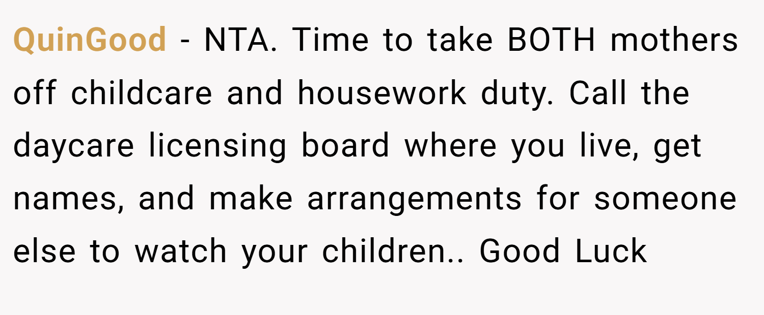 QuinGood − NTA. Time to take BOTH mothers off childcare and housework duty. Call the daycare licensing board where you live, get names, and make arrangements for someone else to watch your children.. Good Luck
