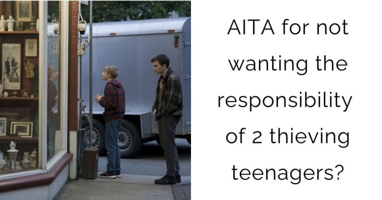 AITA for not wanting the responsibility of 2 thieving teenagers?
