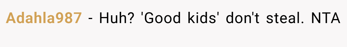 Adahla987 − Huh? 'Good kids' don't steal. NTA