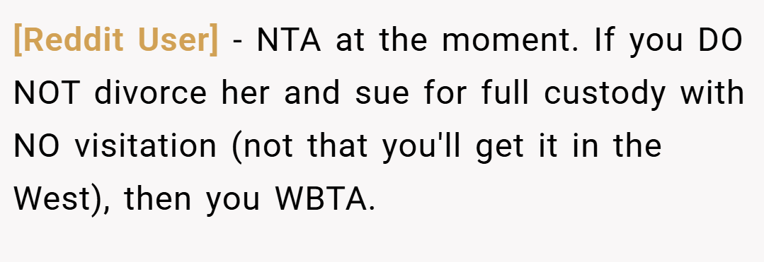 [Reddit User] − NTA at the moment. If you DO NOT divorce her and sue for full custody with NO visitation (not that you'll get it in the West), then you WBTA.