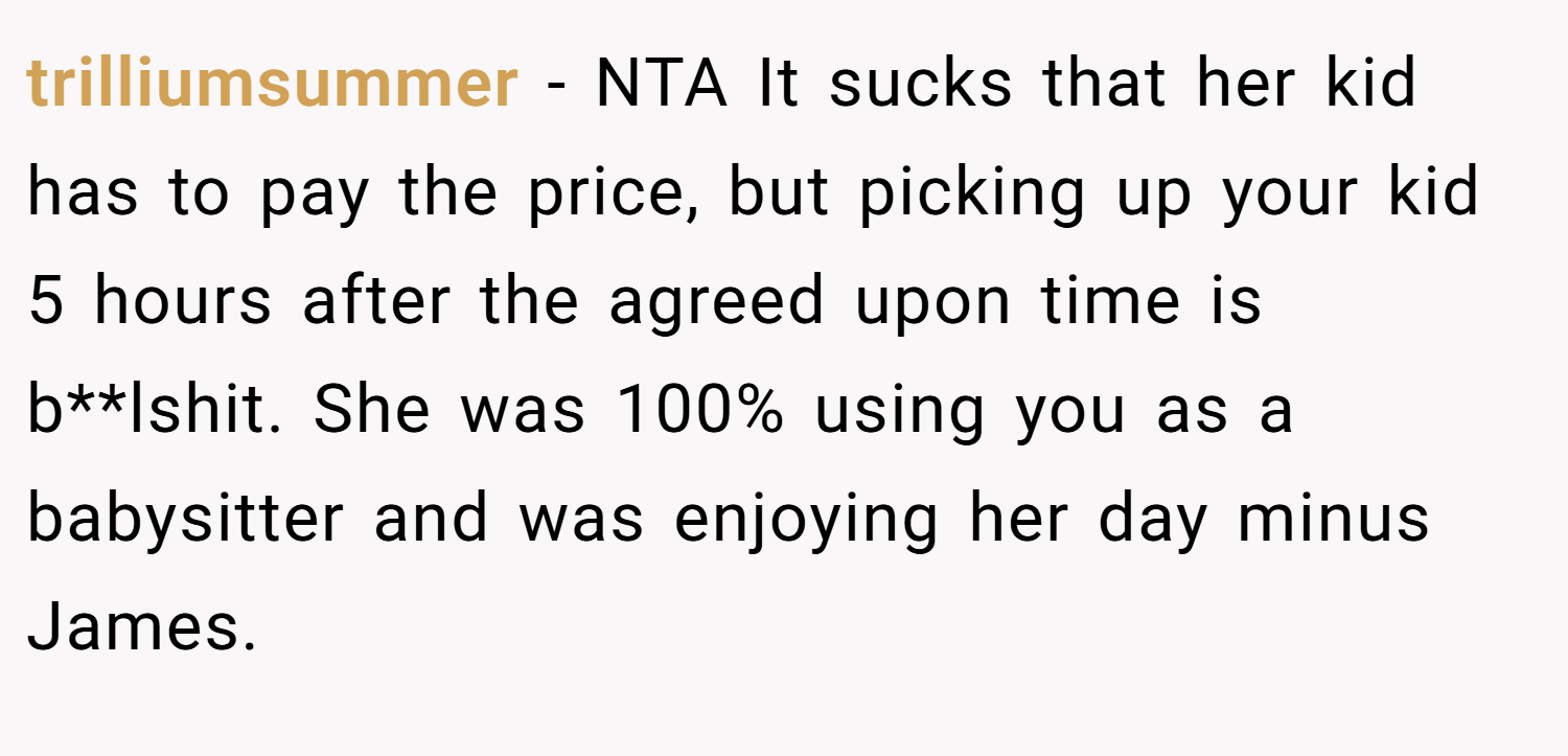 trilliumsummer − NTA It sucks that her kid has to pay the price, but picking up your kid 5 hours after the agreed upon time is b**lshit. She was 100% using you as a babysitter and was enjoying her day minus James.