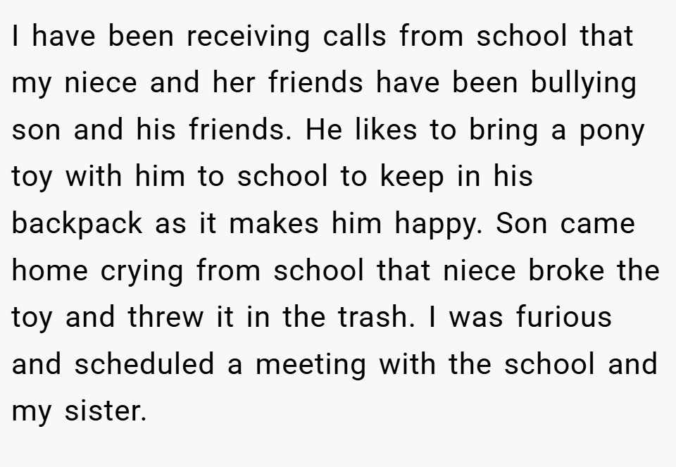 I have been receiving calls from school that my niece and her friends have been bullying son and his friends. He likes to bring a pony toy with him to school to keep in his backpack as it makes him happy. Son came home crying from school that niece broke the toy and threw it in the trash. I was furious and scheduled a meeting with the school and my sister.