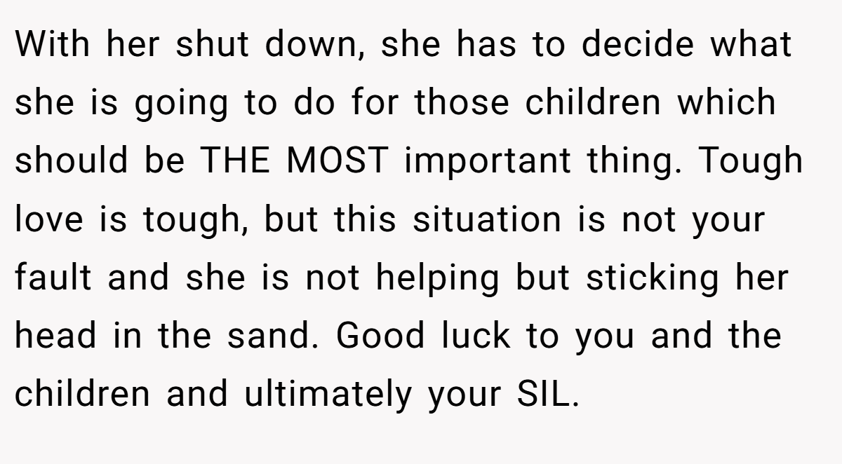 With her shut down, she has to decide what she is going to do for those children which should be THE MOST important thing. Tough love is tough, but this situation is not your fault and she is not helping but sticking her head in the sand. Good luck to you and the children and ultimately your SIL.