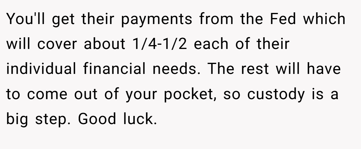 You'll get their payments from the Fed which will cover about 1/4-1/2 each of their individual financial needs. The rest will have to come out of your pocket, so custody is a big step. Good luck.