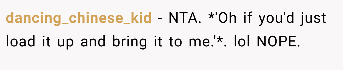 dancing_chinese_kid − NTA. *'Oh if you'd just load it up and bring it to me.'*. lol NOPE.