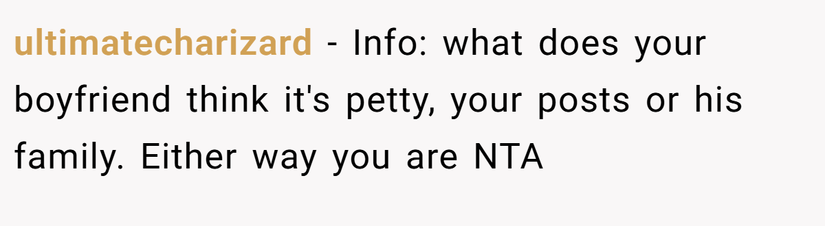 ultimatecharizard - Info: what does your boyfriend think it's petty, your posts or his family. Either way you are NTA