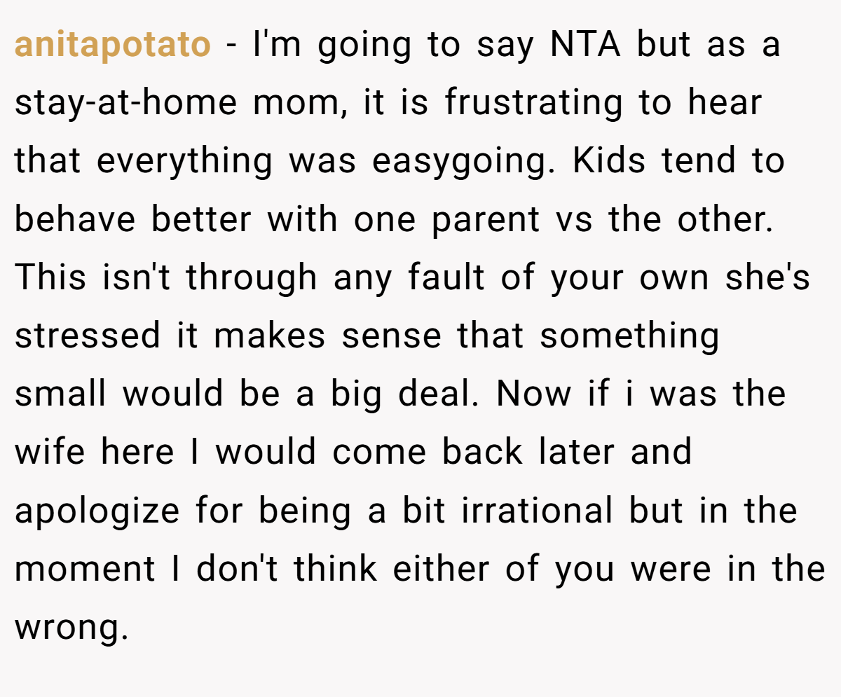 anitapotato − I'm going to say NTA but as a stay-at-home mom, it is frustrating to hear that everything was easygoing. Kids tend to behave better with one parent vs the other. This isn't through any fault of your own she's stressed it makes sense that something small would be a big deal. Now if i was the wife here I would come back later and apologize for being a bit irrational but in the moment I don't think either of you were in the wrong.
