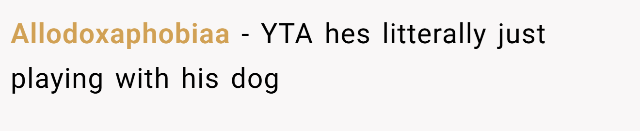 Allodoxaphobiaa − YTA hes litterally just playing with his dog