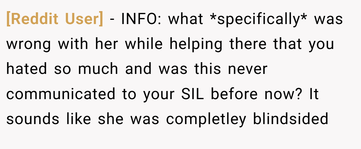 [Reddit User] − INFO: what *specifically* was wrong with her while helping there that you hated so much and was this never communicated to your SIL before now? It sounds like she was completley blindsided