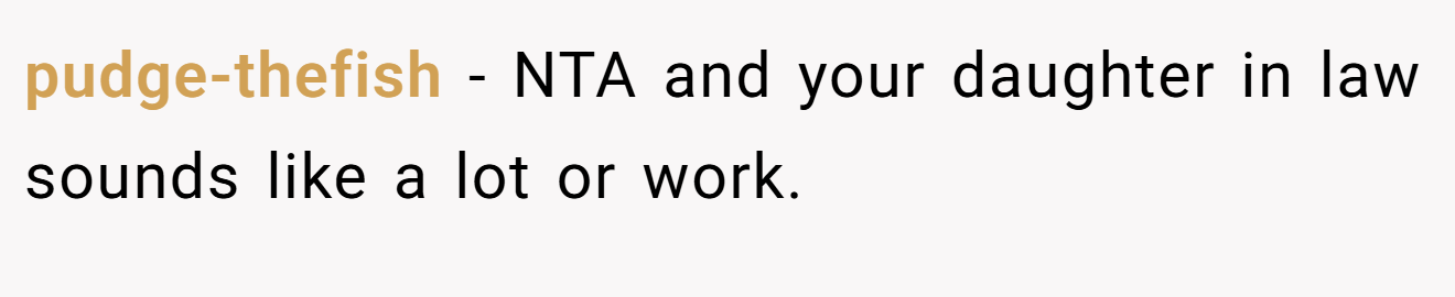 pudge-thefish − NTA and your daughter in law sounds like a lot or work.