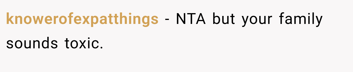 knowerofexpatthings − NTA but your family sounds toxic.