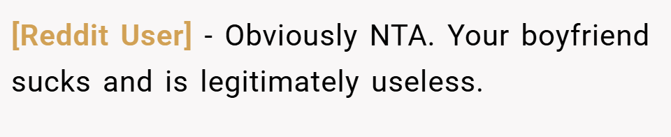 [Reddit User] − Obviously NTA. Your boyfriend sucks and is legitimately useless.