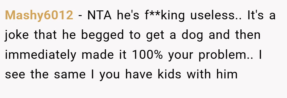 Mashy6012 − NTA he's f**king useless.. It's a joke that he begged to get a dog and then immediately made it 100% your problem.. I see the same I you have kids with him