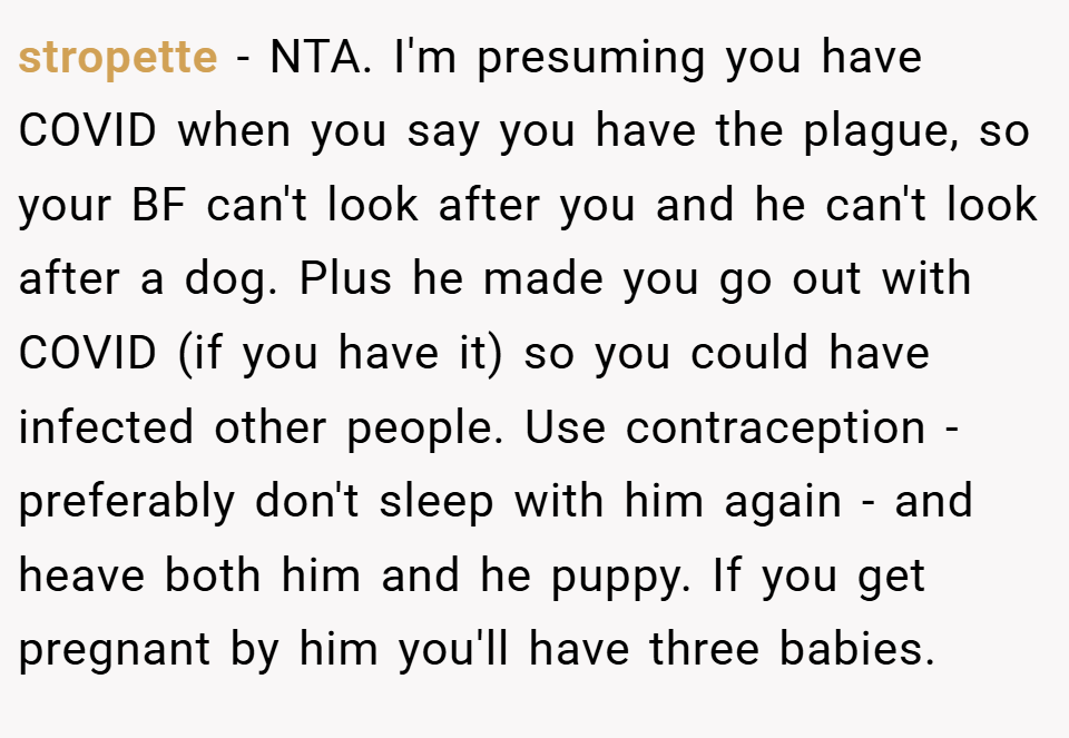 stropette − NTA. I'm presuming you have COVID when you say you have the plague, so your BF can't look after you and he can't look after a dog. Plus he made you go out with COVID (if you have it) so you could have infected other people. Use contraception - preferably don't sleep with him again - and heave both him and he puppy. If you get pregnant by him you'll have three babies.