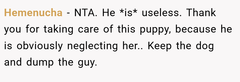 Hemenucha − NTA. He *is* useless. Thank you for taking care of this puppy, because he is obviously neglecting her.. Keep the dog and dump the guy.
