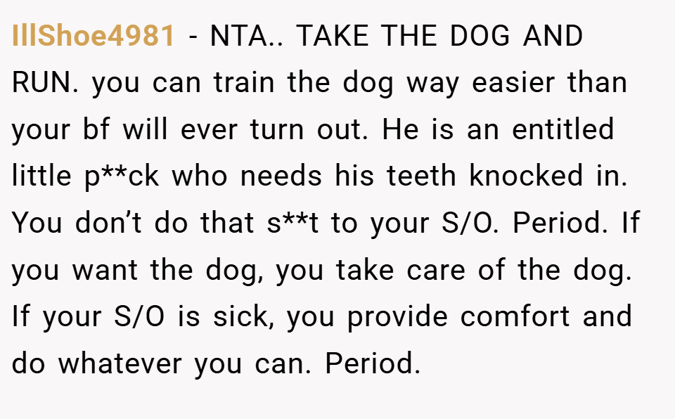 IllShoe4981 − NTA.. TAKE THE DOG AND RUN. you can train the dog way easier than your bf will ever turn out. He is an entitled little p**ck who needs his teeth knocked in. You don’t do that s**t to your S/O. Period. If you want the dog, you take care of the dog. If your S/O is sick, you provide comfort and do whatever you can. Period.