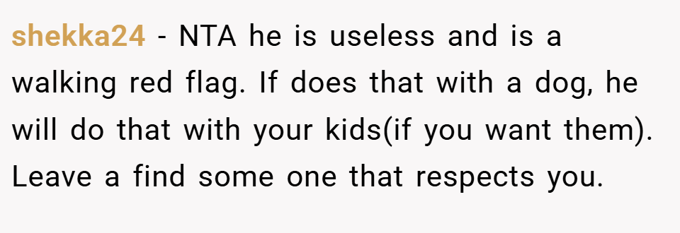 shekka24 − NTA he is useless and is a walking red flag. If does that with a dog, he will do that with your kids(if you want them). Leave a find some one that respects you.