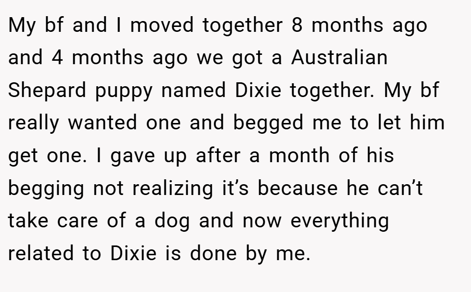 My bf and I moved together 8 months ago and 4 months ago we got a Australian Shepard puppy named Dixie together. My bf really wanted one and begged me to let him get one. I gave up after a month of his begging not realizing it’s because he can’t take care of a dog and now everything related to Dixie is done by me.