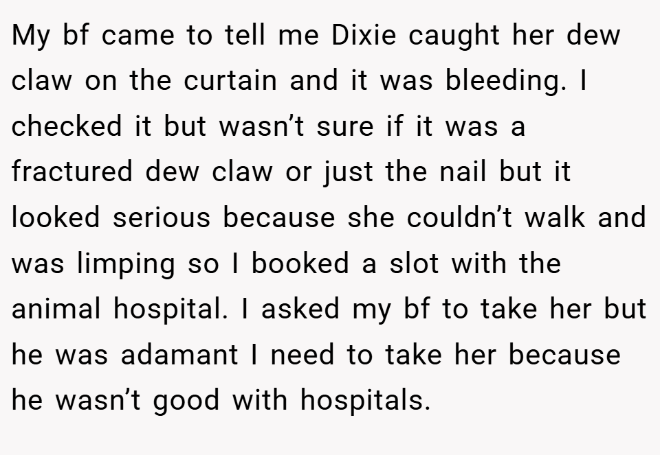 My bf came to tell me Dixie caught her dew claw on the curtain and it was bleeding. I checked it but wasn’t sure if it was a fractured dew claw or just the nail but it looked serious because she couldn’t walk and was limping so I booked a slot with the animal hospital. I asked my bf to take her but he was adamant I need to take her because he wasn’t good with hospitals.