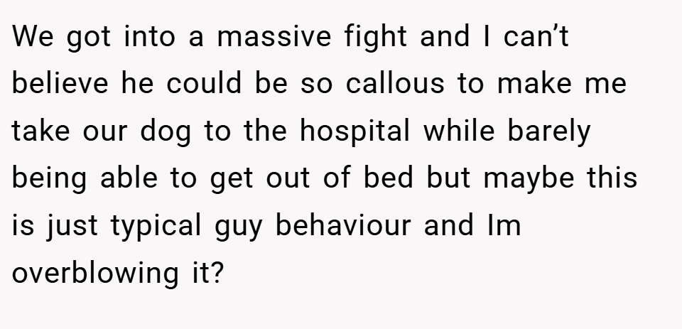 We got into a massive fight and I can’t believe he could be so callous to make me take our dog to the hospital while barely being able to get out of bed but maybe this is just typical guy behaviour and Im overblowing it?