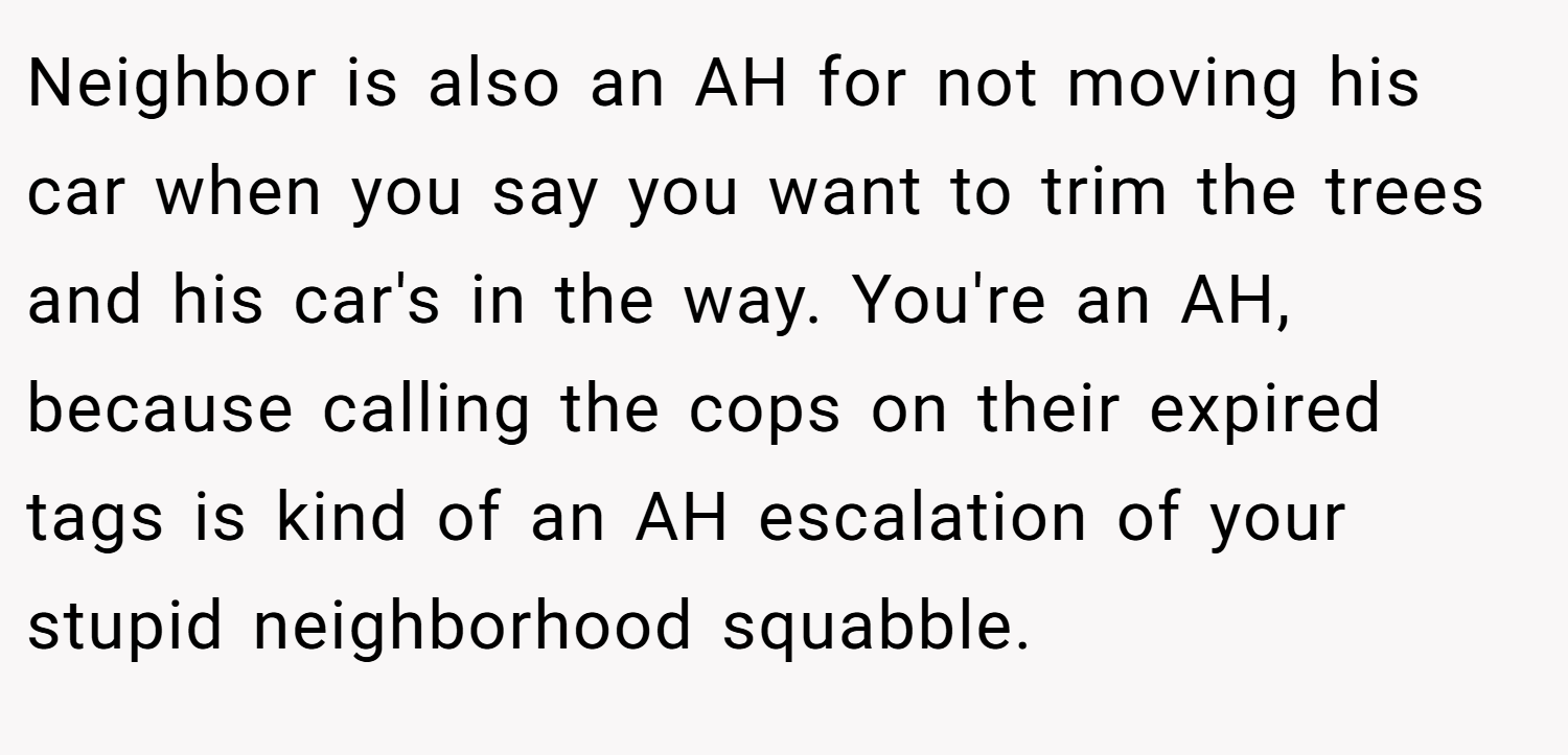Neighbor is also an AH for not moving his car when you say you want to trim the trees and his car's in the way. You're an AH, because calling the cops on their expired tags is kind of an AH escalation of your stupid neighborhood squabble.