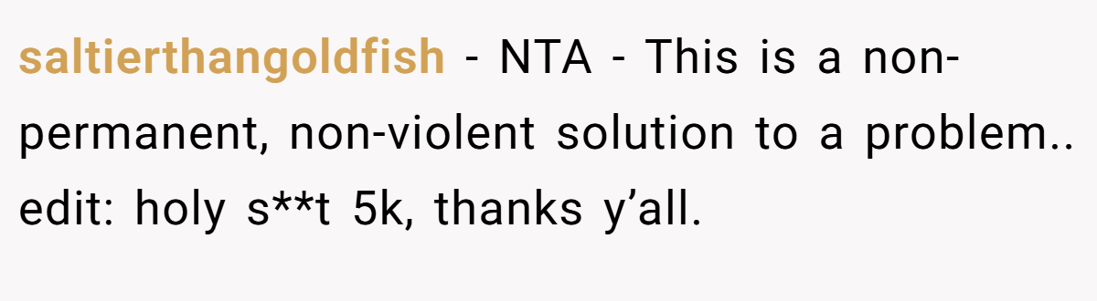 saltierthangoldfish − NTA - This is a non-permanent, non-violent solution to a problem.. edit: holy s**t 5k, thanks y’all.