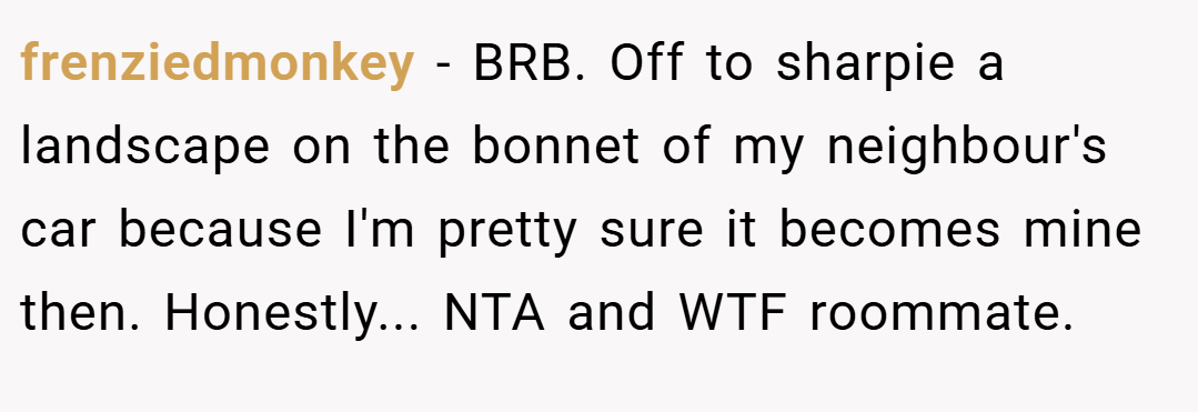 frenziedmonkey − BRB. Off to sharpie a landscape on the bonnet of my neighbour's car because I'm pretty sure it becomes mine then. Honestly... NTA and WTF roommate.