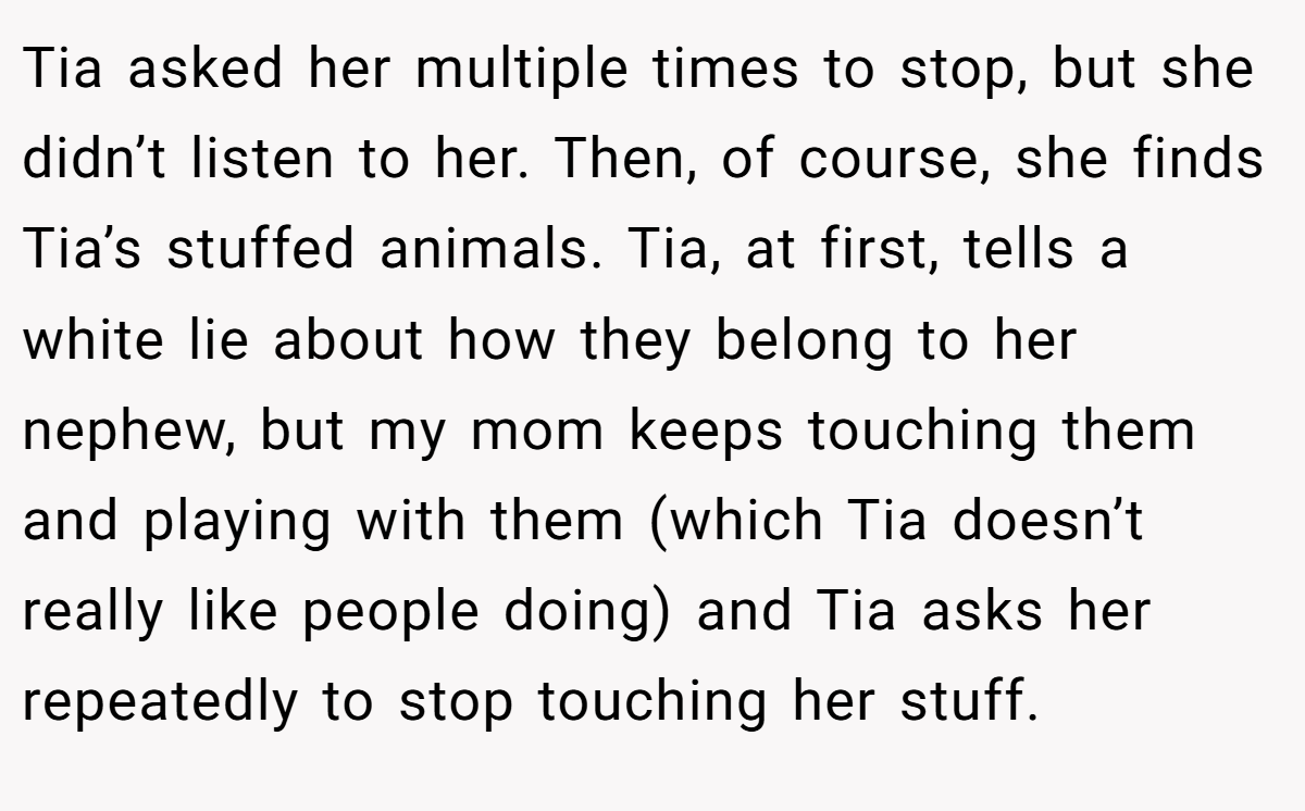 Tia asked her multiple times to stop, but she didn’t listen to her. Then, of course, she finds Tia’s stuffed animals. Tia, at first, tells a white lie about how they belong to her nephew, but my mom keeps touching them and playing with them (which Tia doesn’t really like people doing) and Tia asks her repeatedly to stop touching her stuff.