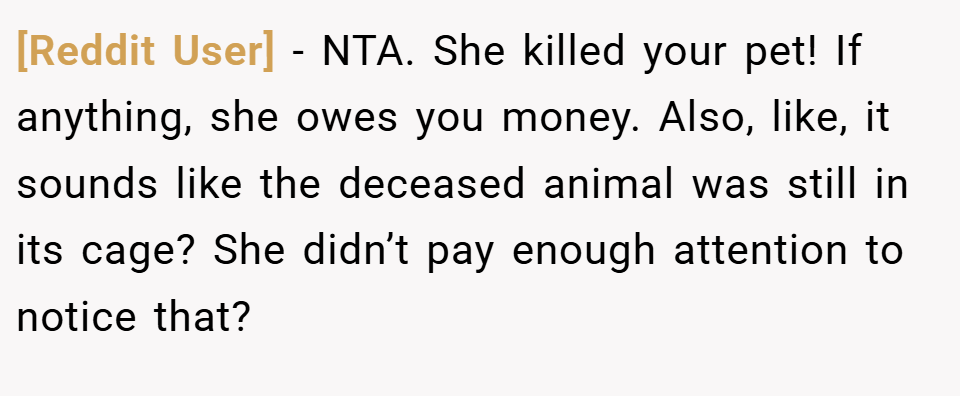 [Reddit User] − NTA. She killed your pet! If anything, she owes you money. Also, like, it sounds like the deceased animal was still in its cage? She didn’t pay enough attention to notice that?