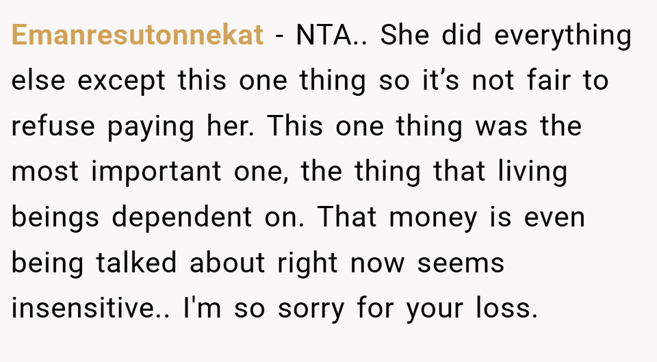 Emanresutonnekat − NTA.. She did everything else except this one thing so it’s not fair to refuse paying her. This one thing was the most important one, the thing that living beings dependent on. That money is even being talked about right now seems insensitive.. I'm so sorry for your loss.