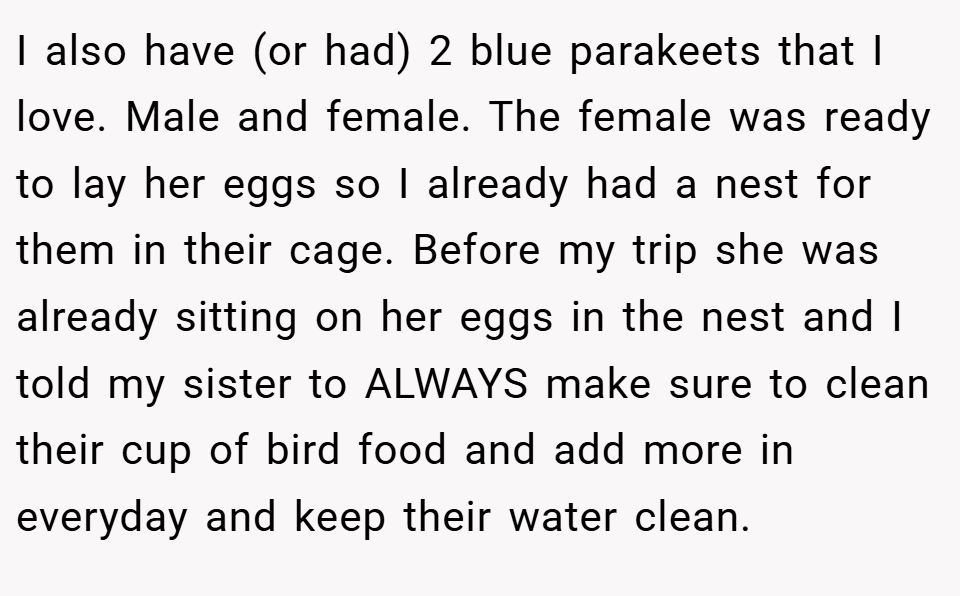 I also have (or had) 2 blue parakeets that I love. Male and female. The female was ready to lay her eggs so I already had a nest for them in their cage. Before my trip she was already sitting on her eggs in the nest and I told my sister to ALWAYS make sure to clean their cup of bird food and add more in everyday and keep their water clean.