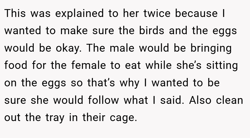 This was explained to her twice because I wanted to make sure the birds and the eggs would be okay. The male would be bringing food for the female to eat while she’s sitting on the eggs so that’s why I wanted to be sure she would follow what I said. Also clean out the tray in their cage.