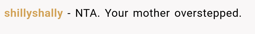 shillyshally − NTA. Your mother overstepped.