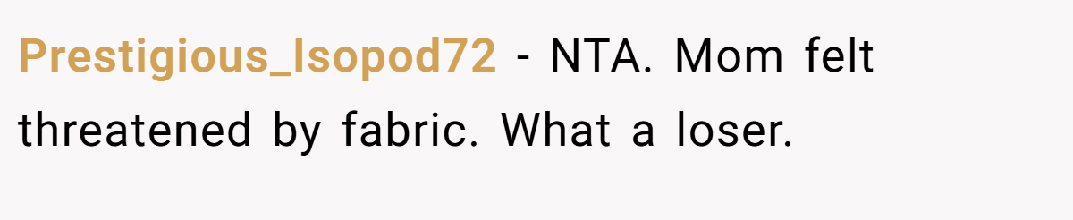 Prestigious_Isopod72 − NTA. Mom felt threatened by fabric. What a loser.
