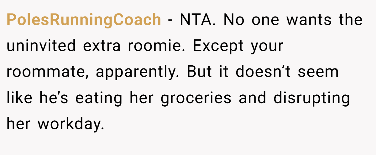 PolesRunningCoach - NTA. No one wants the uninvited extra roomie. Except your roommate, apparently. But it doesn’t seem like he’s eating her groceries and disrupting her workday.