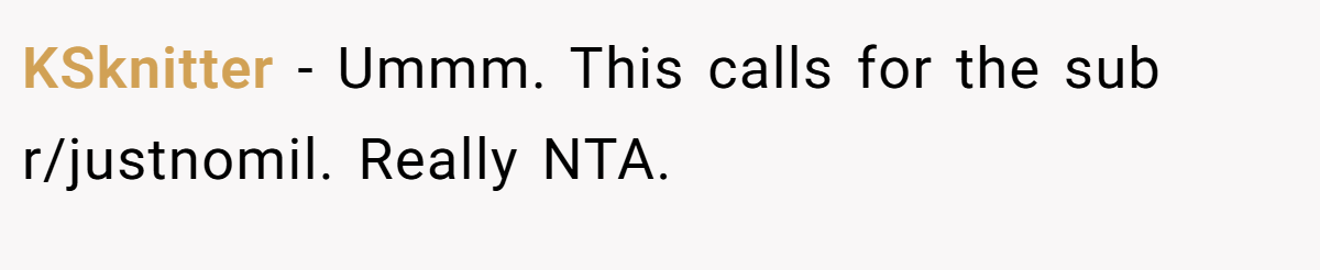 KSknitter − Ummm. This calls for the sub r/justnomil. Really NTA.