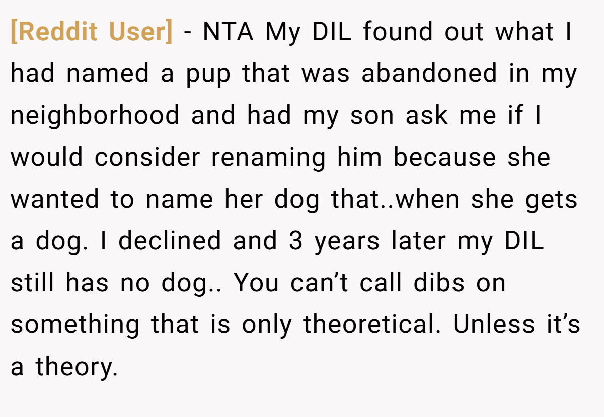 [Reddit User] - NTA My DIL found out what I had named a pup that was abandoned in my neighborhood and had my son ask me if I would consider renaming him because she wanted to name her dog that..when she gets a dog. I declined and 3 years later my DIL still has no dog.. You can’t call dibs on something that is only theoretical. Unless it’s a theory.