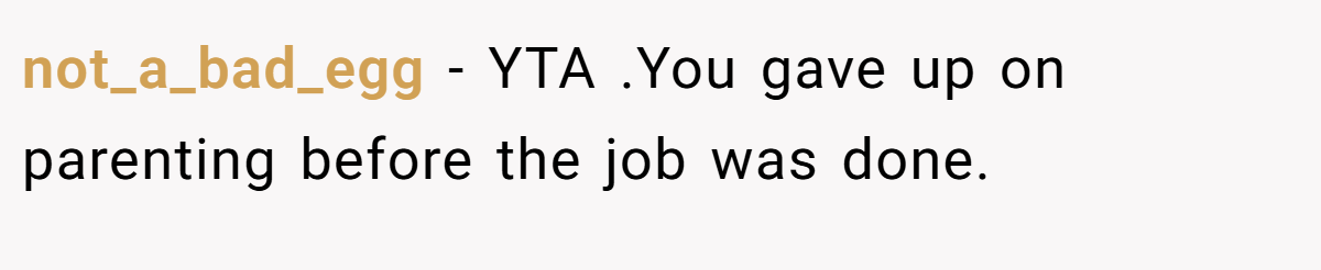 not_a_bad_egg - YTA .You gave up on parenting before the job was done.