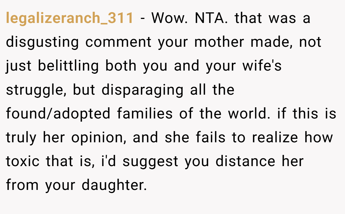 legalizeranch_311 − Wow. NTA. that was a disgusting comment your mother made, not just belittling both you and your wife's struggle, but disparaging all the found/adopted families of the world. if this is truly her opinion, and she fails to realize how toxic that is, i'd suggest you distance her from your daughter.