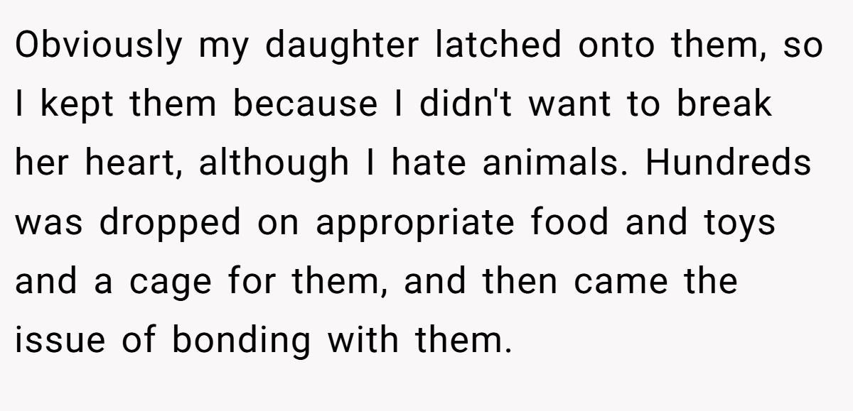 Obviously my daughter latched onto them, so I kept them because I didn't want to break her heart, although I hate animals. Hundreds was dropped on appropriate food and toys and a cage for them, and then came the issue of bonding with them.
