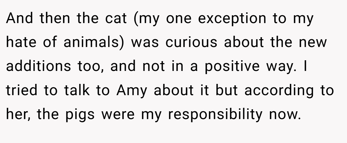 And then the cat (my one exception to my hate of animals) was curious about the new additions too, and not in a positive way. I tried to talk to Amy about it but according to her, the pigs were my responsibility now.