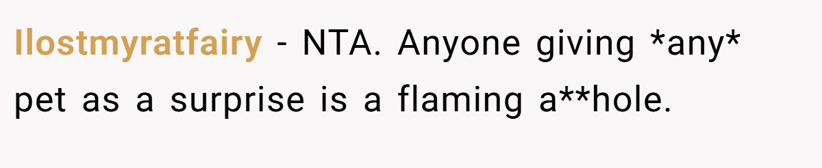Ilostmyratfairy − NTA. Anyone giving *any* pet as a surprise is a flaming a**hole.