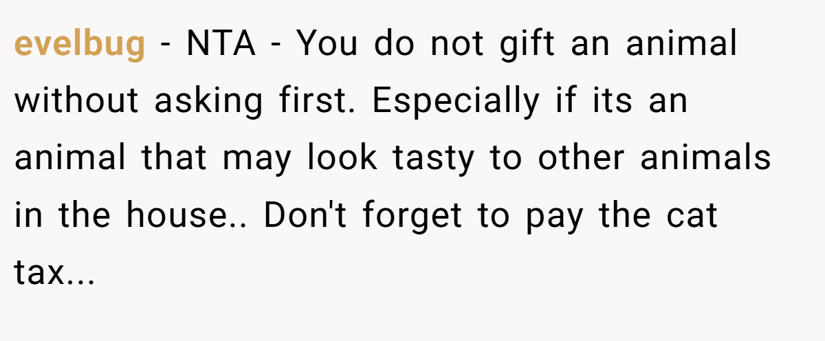 evelbug − NTA - You do not gift an animal without asking first. Especially if its an animal that may look tasty to other animals in the house.. Don't forget to pay the cat tax...