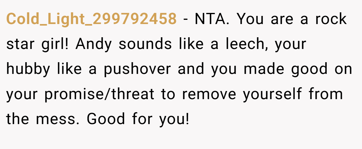 Cold_Light_299792458 - NTA. You are a rock star girl! Andy sounds like a leech, your hubby like a pushover and you made good on your promise/threat to remove yourself from the mess. Good for you!