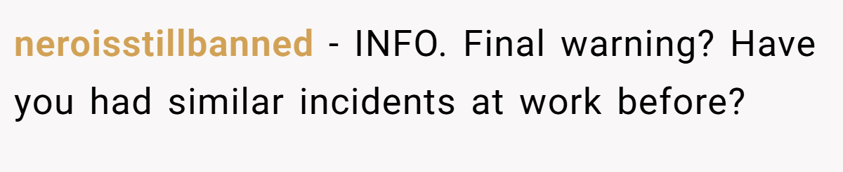neroisstillbanned − INFO. Final warning? Have you had similar incidents at work before?