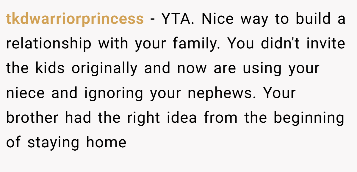 tkdwarriorprincess − YTA. Nice way to build a relationship with your family. You didn't invite the kids originally and now are using your niece and ignoring your nephews. Your brother had the right idea from the beginning of staying home